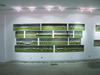 TAICHI MOTION STUDIES 