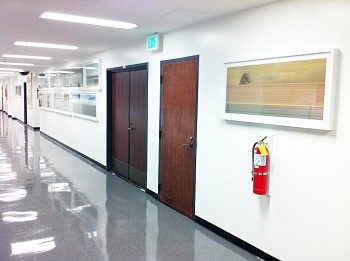 SPACETIME: Beyond the Constraints of Perception&nbsp;