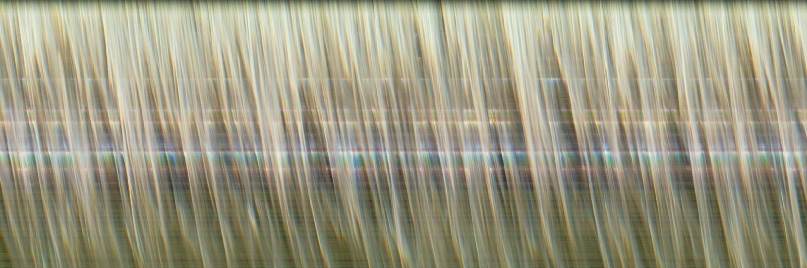 Jay Mark Johnson, AKAKA KASKATA 18, 2010 Akaka Falls HI
archival pigment on paper, mounted on aluminum, 40 x 120 in. (101.6 x 304.8 cm)