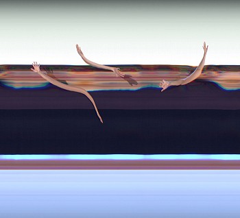 California: PRISCILLA ELECTRIC LODGE 2-1, 2007 Venice CA