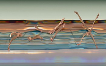 California: PRISCILLA ELECTRIC LODGE 39-5, 2007 Venice CA