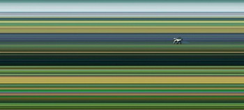 Trucks: HUNTER VALLEY #00, 2012 Australia