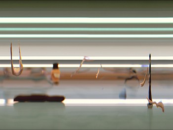 Taichi: TAICHI MOTION STUDY 20, 2005 Los Angeles CA