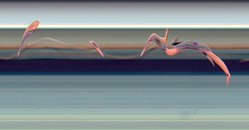 Taichi: TAICHI MOTION STUDY 103, 2005 Los Angeles CA