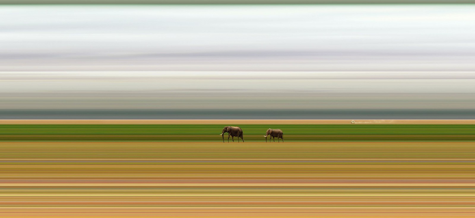Jay Mark Johnson, AMBOSELI #126, 2014 Amboseli
archival pigment on paper, mounted on aluminum, 40 x 88 in. (101.6 x 223.5 cm)